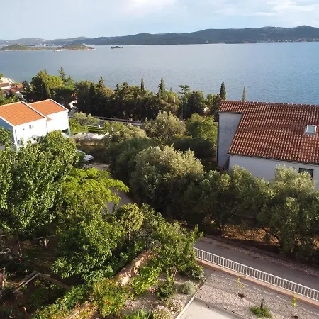 Vila Dalmatian